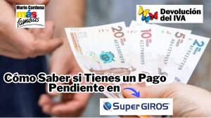 Consulta de la Devolución del IVA: Paso a Paso para Saber si Tienes un Giro