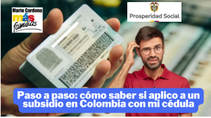¿Cómo consulto con mi cédula si aplico para un subsidio en Colombia?