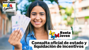 Renta Joven: Todo lo que necesitas saber sobre el programa y su liquidación