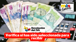 Link para Consulta si eres beneficiario de la Devolución del IVA en 2025!