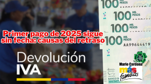Devolución del IVA: ¿Por qué está demorado el primer ciclo 2025?