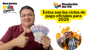 Devolución del IVA: ¿Cuántos ciclos se entregarán en 2025?