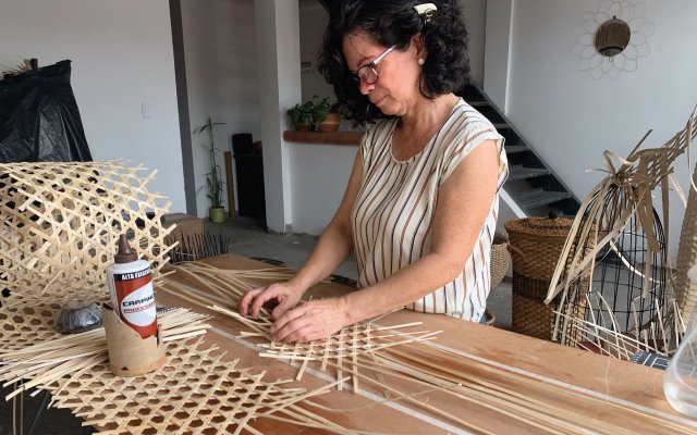 Los 5 mejores emprendimientos para iniciar en Colombia para familias vulnerables