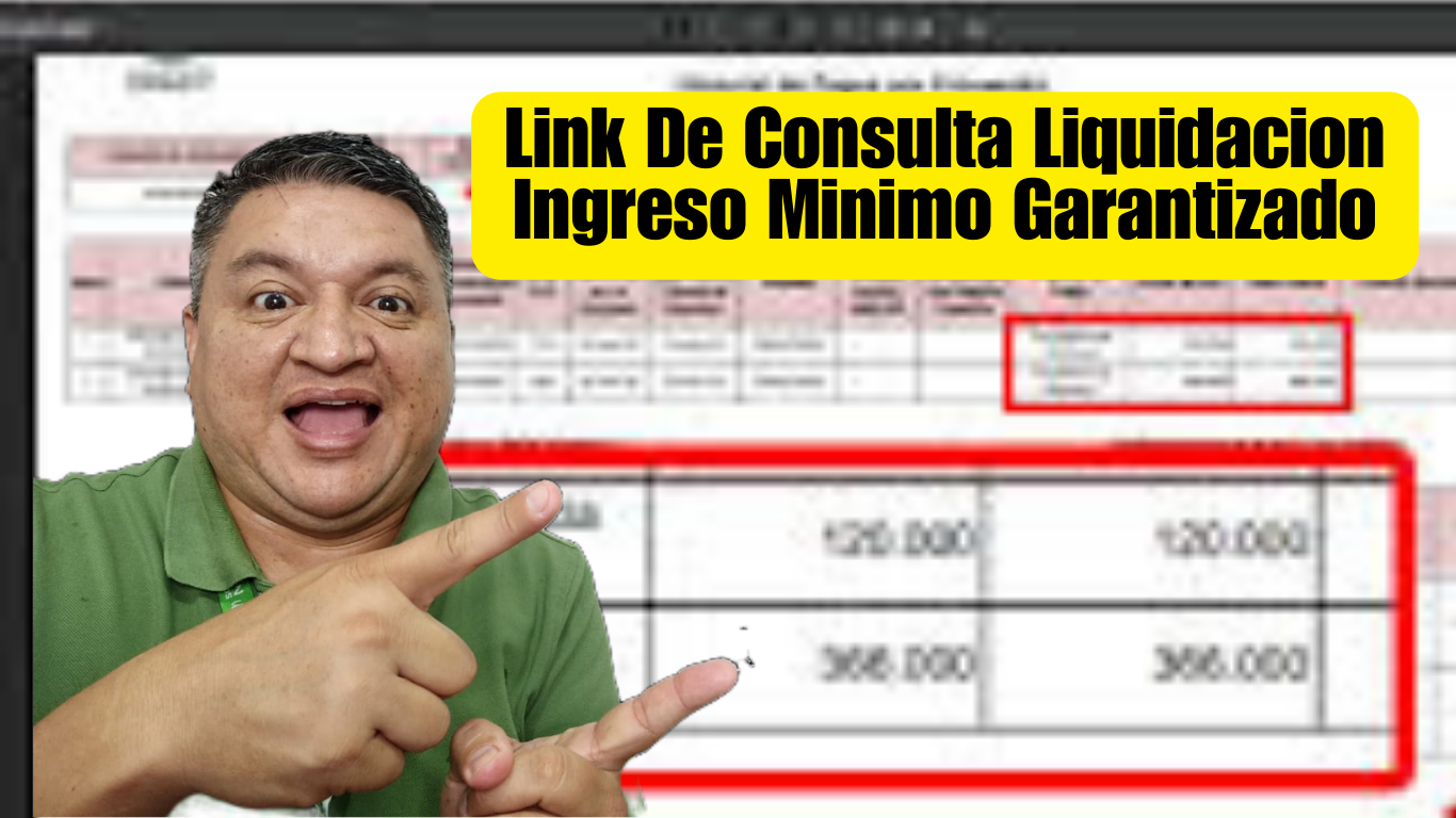 Link de Consulta Ingreso Minimo Garantizado Sobre Liquidacion de Pagos